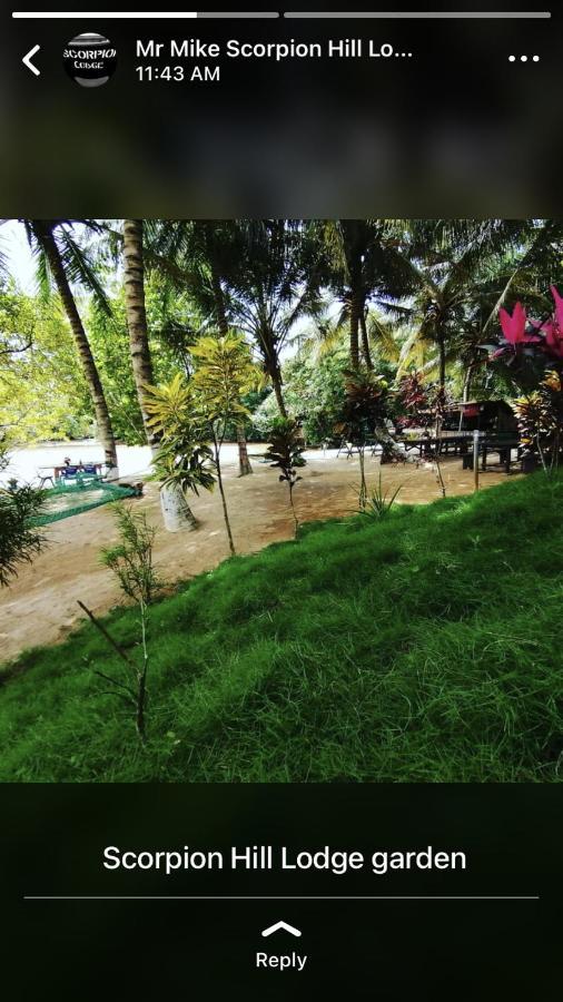 Scorpion Hill Lodge Busua Luaran gambar