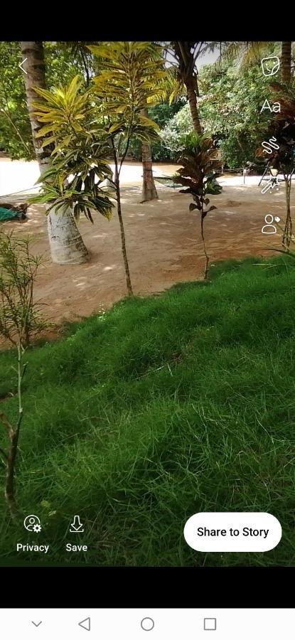 Scorpion Hill Lodge Busua Luaran gambar