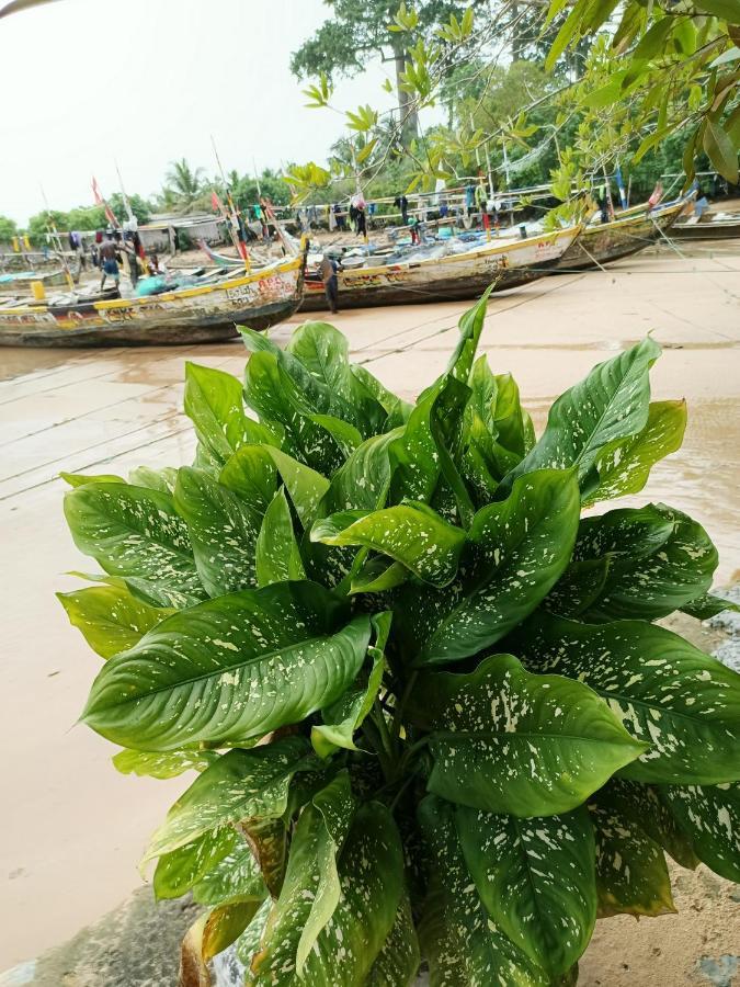 Scorpion Hill Lodge Busua Luaran gambar